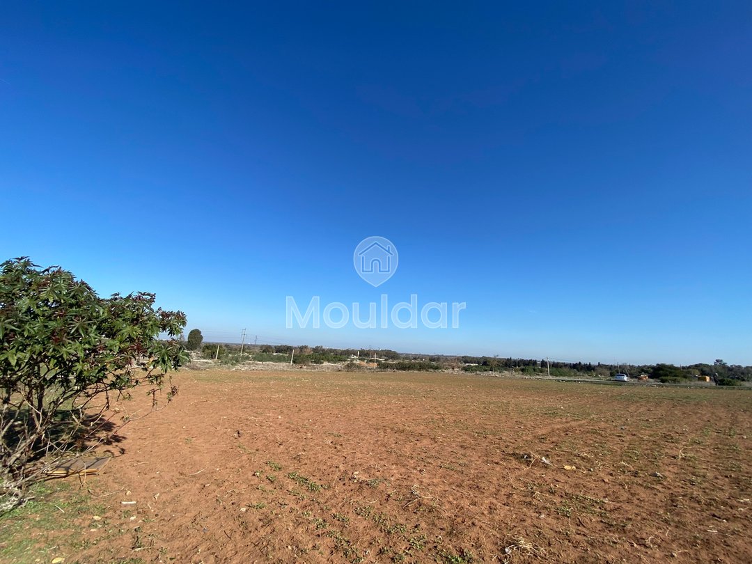 Wyjątkowa oferta: teren rolny o powierzchni 6883 m² w El Menzeh - Photo 4