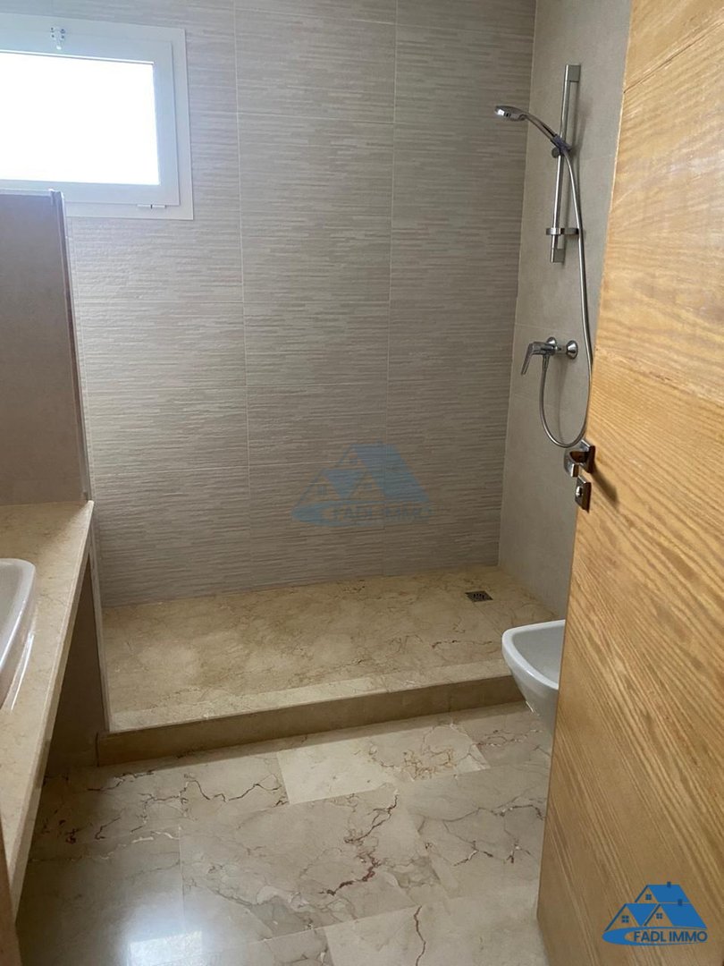 SPACIOUS APARTMENT FOR RENT IN EL MENZEH - Photo 5