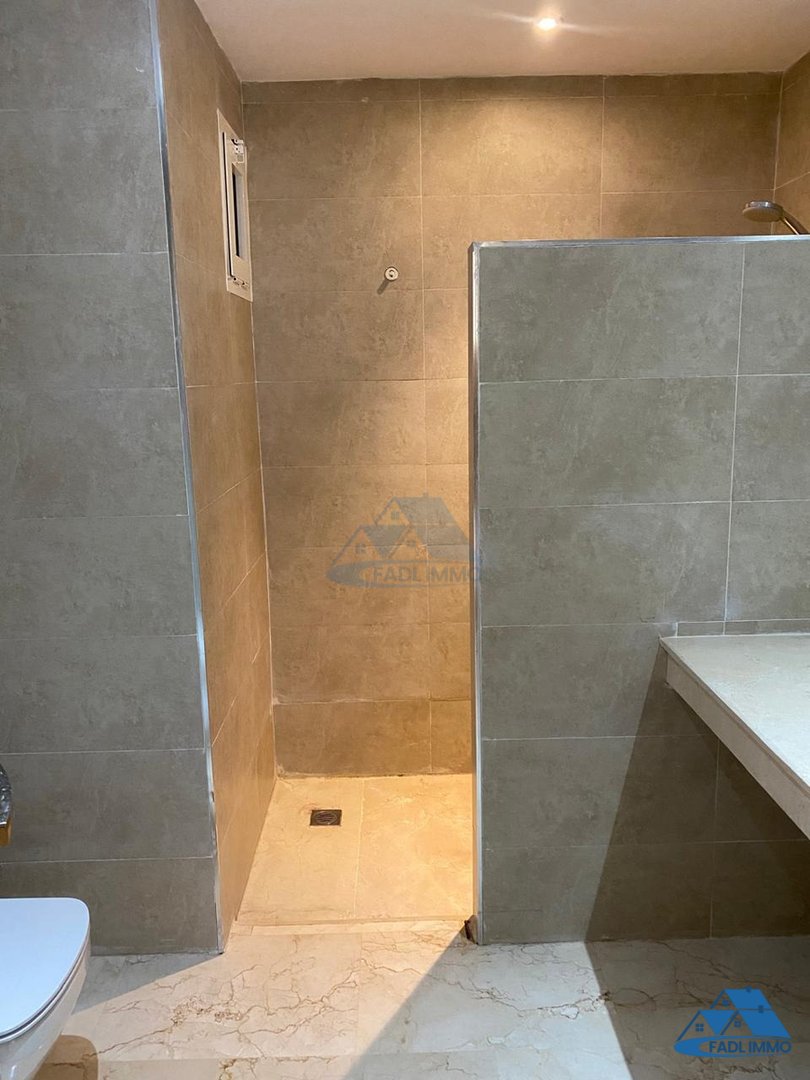 SPACIOUS APARTMENT FOR RENT IN EL MENZEH - Photo 9