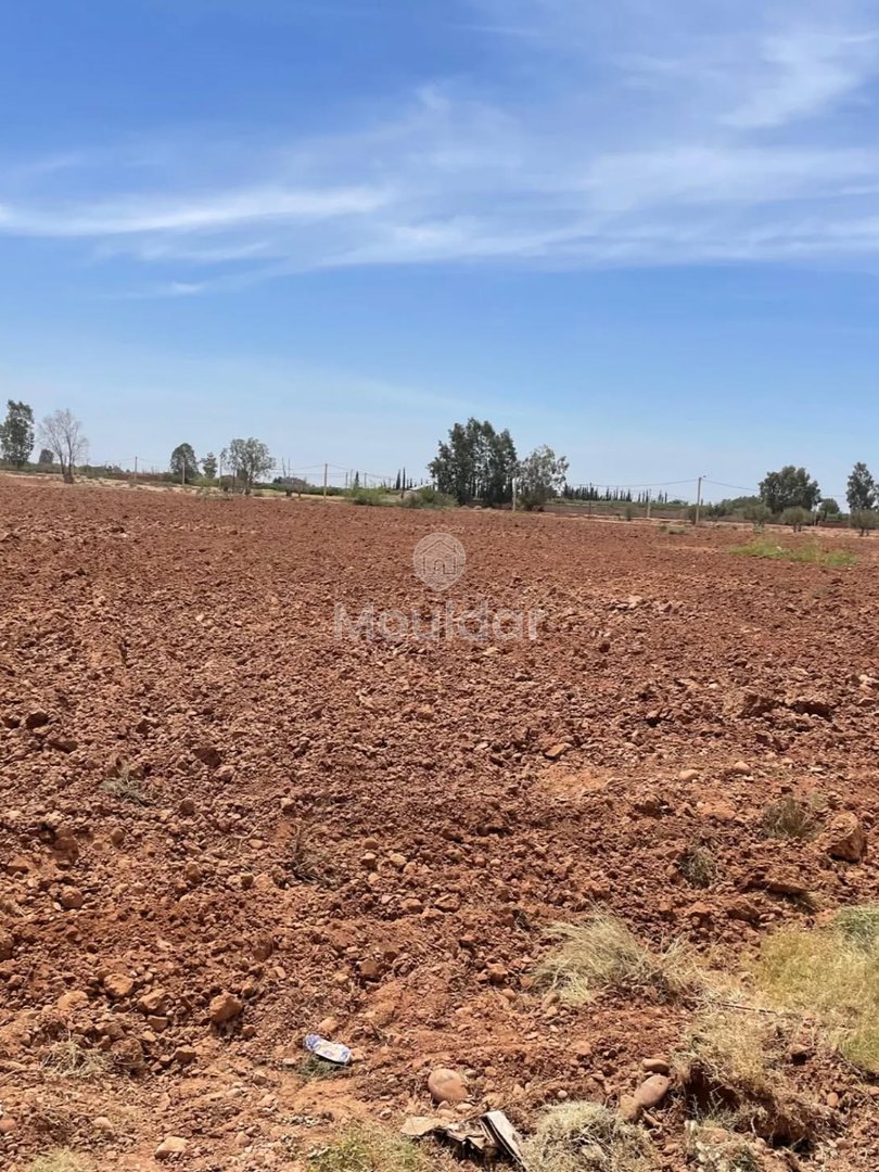 Teren agricol de vânzare: la 15 km de Marrakech - Photo 4