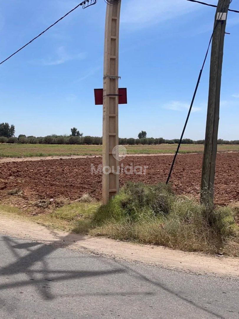 Teren agricol de vânzare: la 15 km de Marrakech - Photo 9