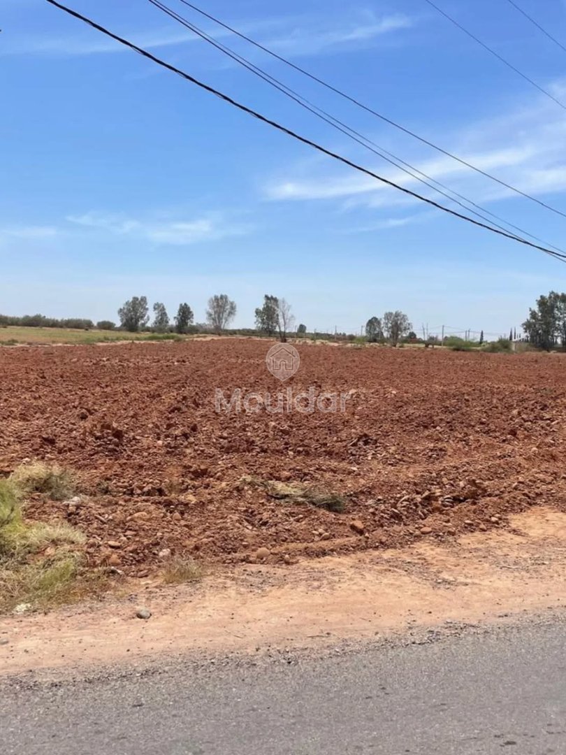 Teren agricol de vânzare: la 15 km de Marrakech - Photo 1