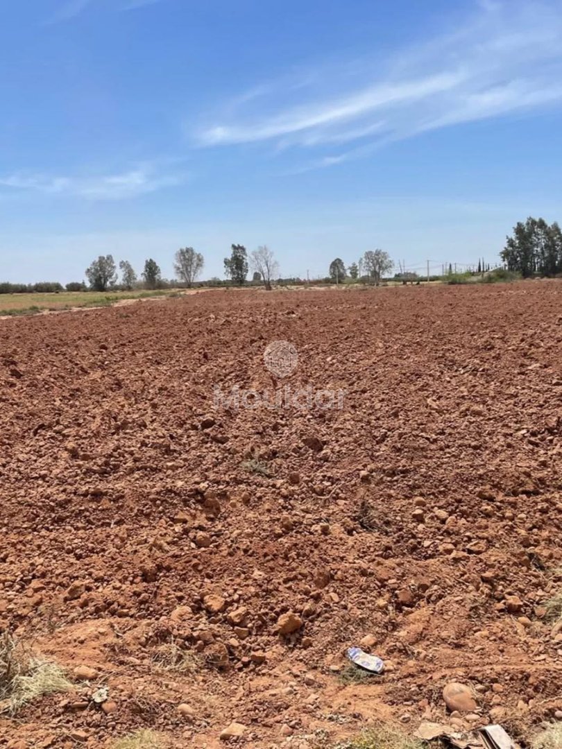 Teren agricol de vânzare: la 15 km de Marrakech - Photo 3