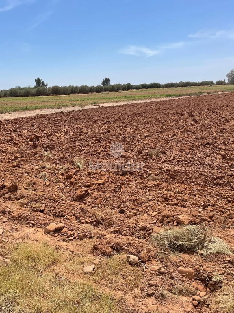 Teren agricol de vânzare: la 15 km de Marrakech - Photo 6