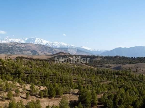 فيلا فسيحة للبيع في مراكش - رفاهية وسكينة - Photo 14