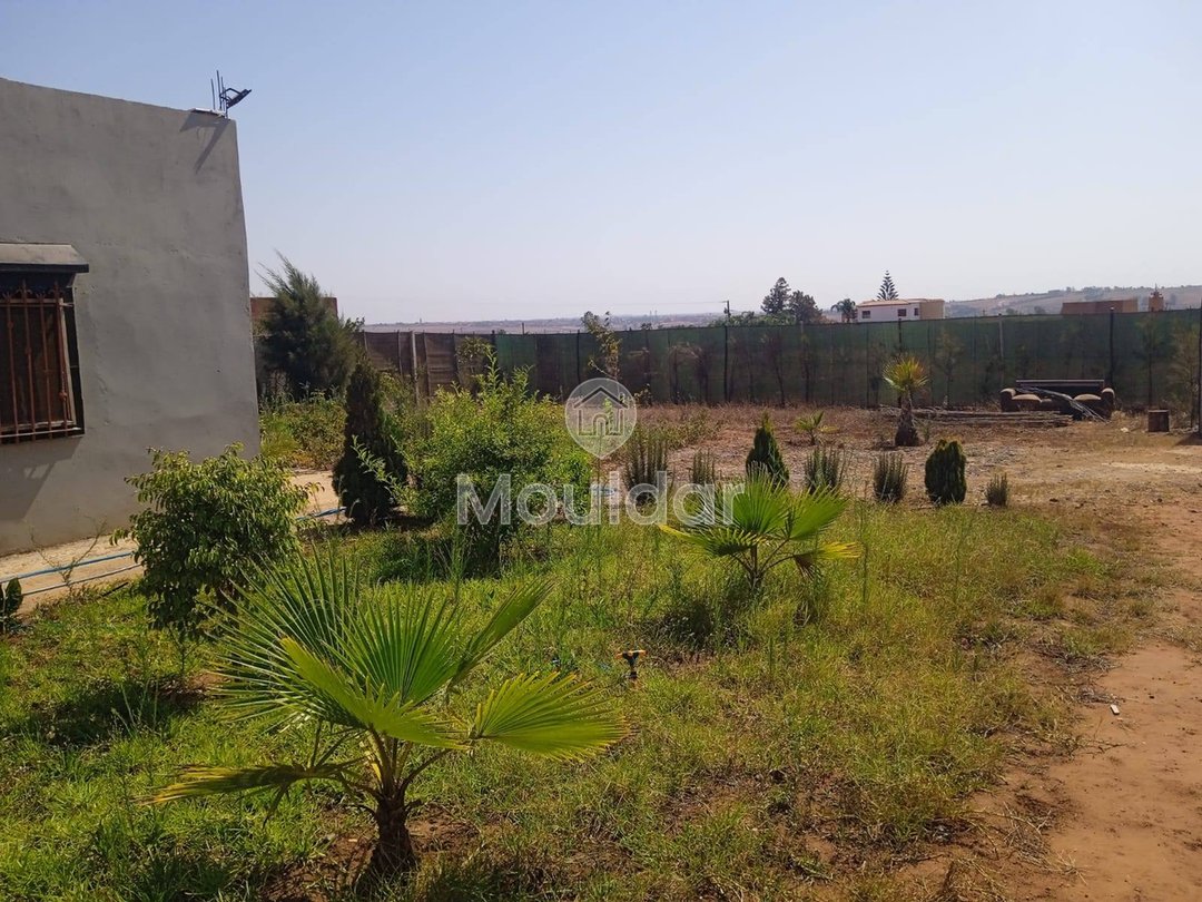 أرض زراعية للبيع في المحمدية - 1200م² للفرصة - Photo 5