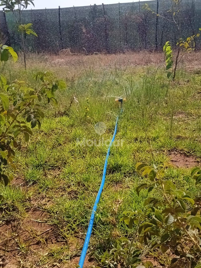 أرض زراعية للبيع في المحمدية - 1200م² للفرصة - Photo 9