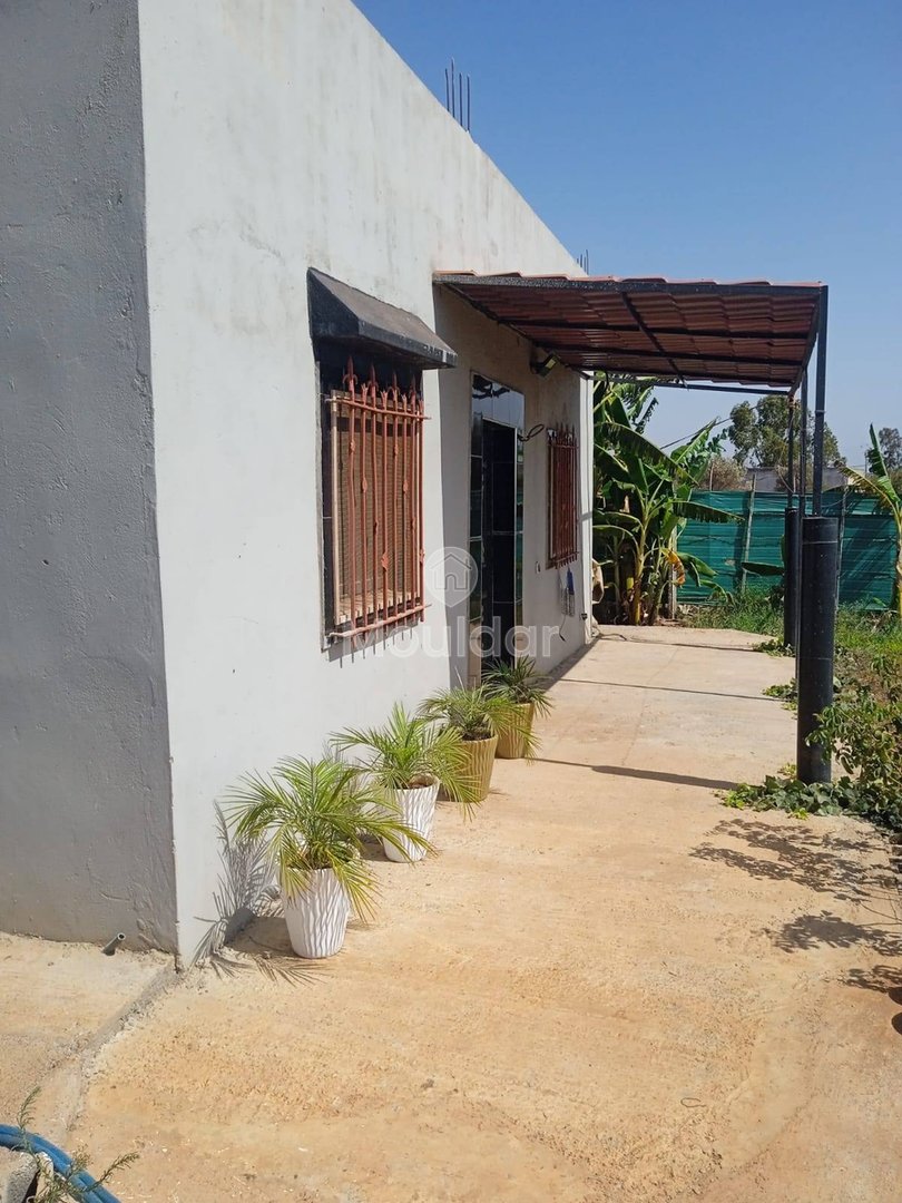 أرض زراعية للبيع في المحمدية - 1200م² للفرصة - Photo 14