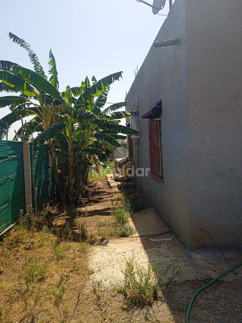 أرض زراعية للبيع في المحمدية - 1200م² للفرصة - Photo 10