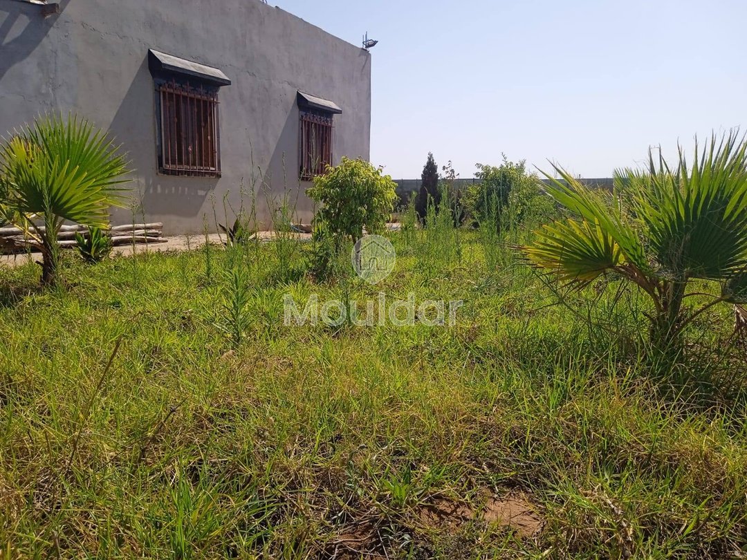 أرض زراعية للبيع في المحمدية - 1200م² للفرصة - Photo 4