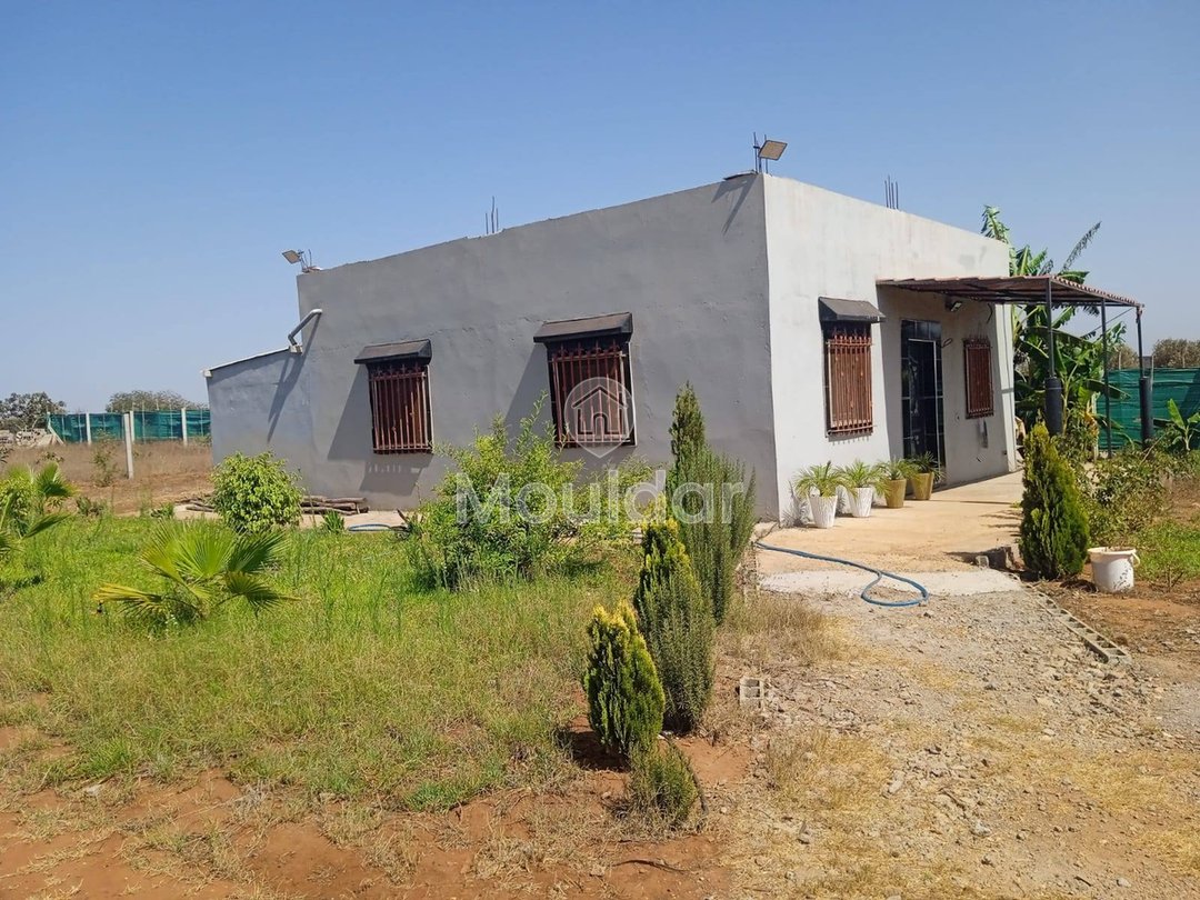 أرض زراعية للبيع في المحمدية - 1200م² للفرصة - Photo 1