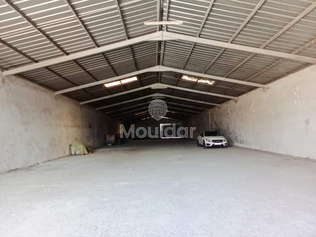 Fattoria in Souk El Arbaa: 27 ha di Potenziale Agricolo - Photo 1