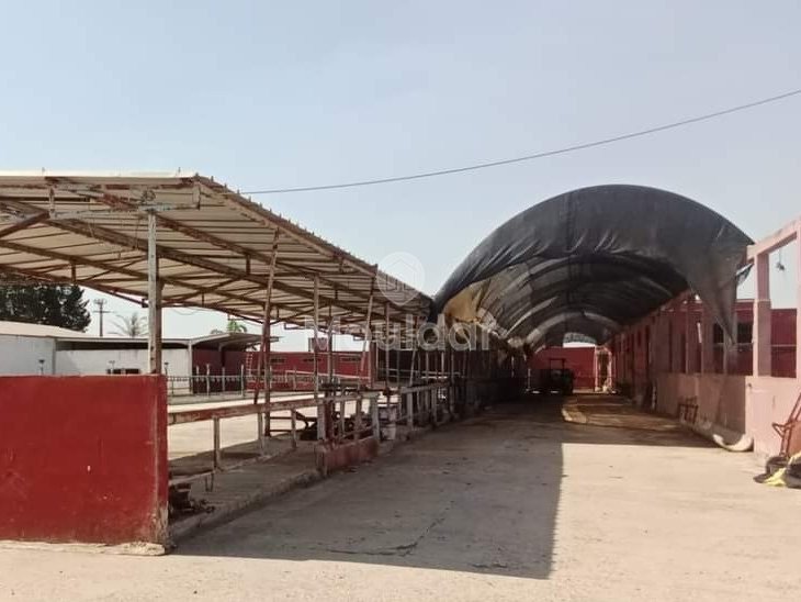 Fattoria in Souk El Arbaa: 27 ha di Potenziale Agricolo - Photo 3