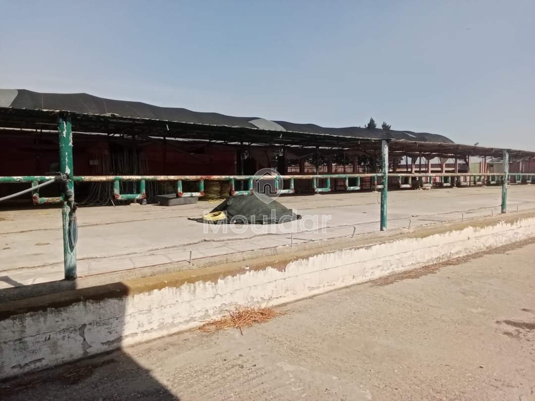 Fattoria in Souk El Arbaa: 27 ha di Potenziale Agricolo - Photo 4