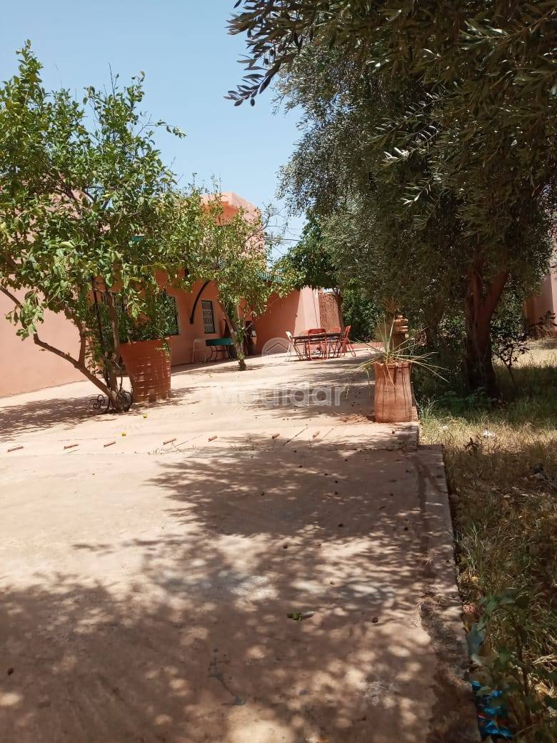 Bezoekers Riad te koop in Marrakech - 8 Ruime Kamers - Photo 1