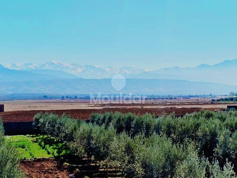 Luxusvilla zu verkaufen in Marrakesch - Route d'Ourika - Photo 14