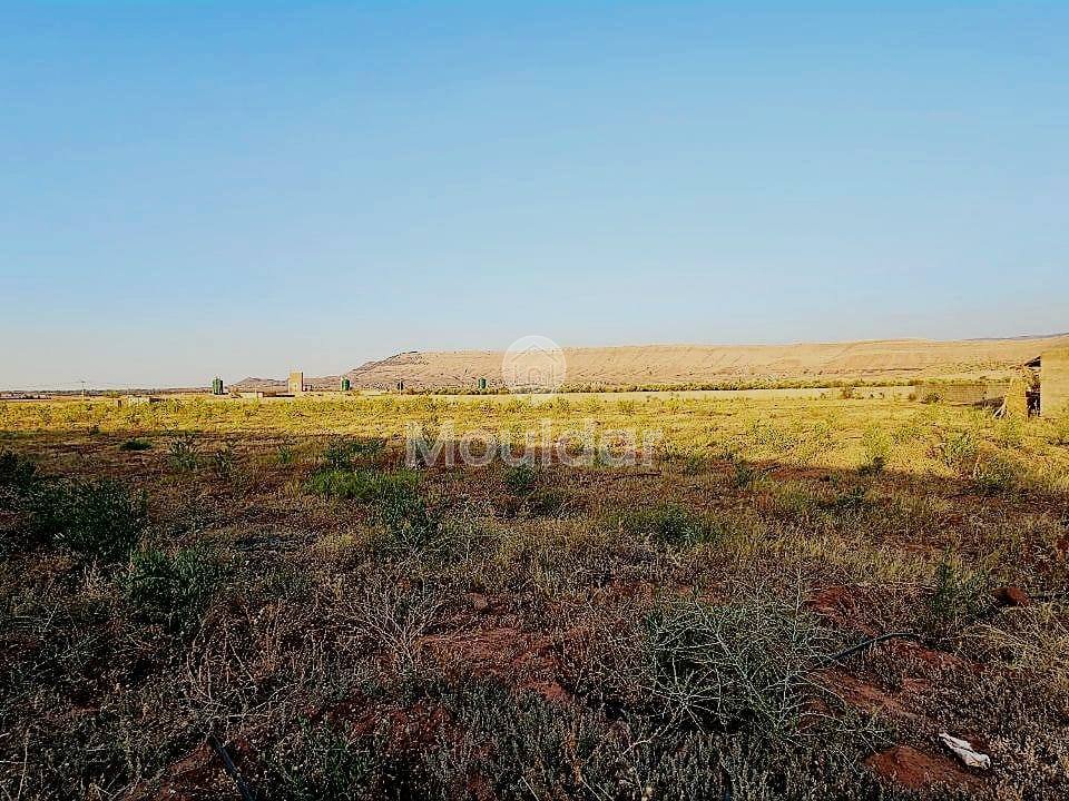 Luxusvilla zu verkaufen in Marrakesch - Route d'Ourika - Photo 6