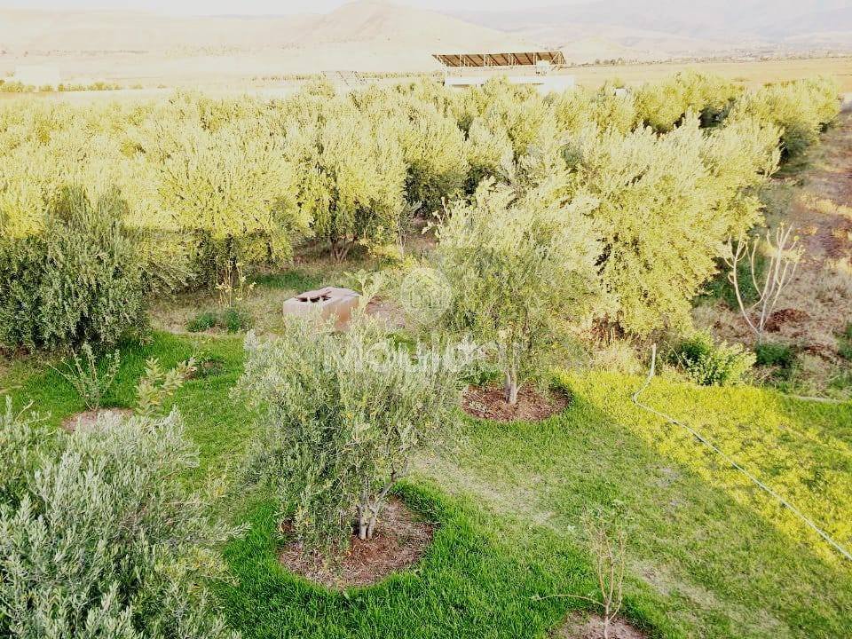 Luxusvilla zu verkaufen in Marrakesch - Route d'Ourika - Photo 9