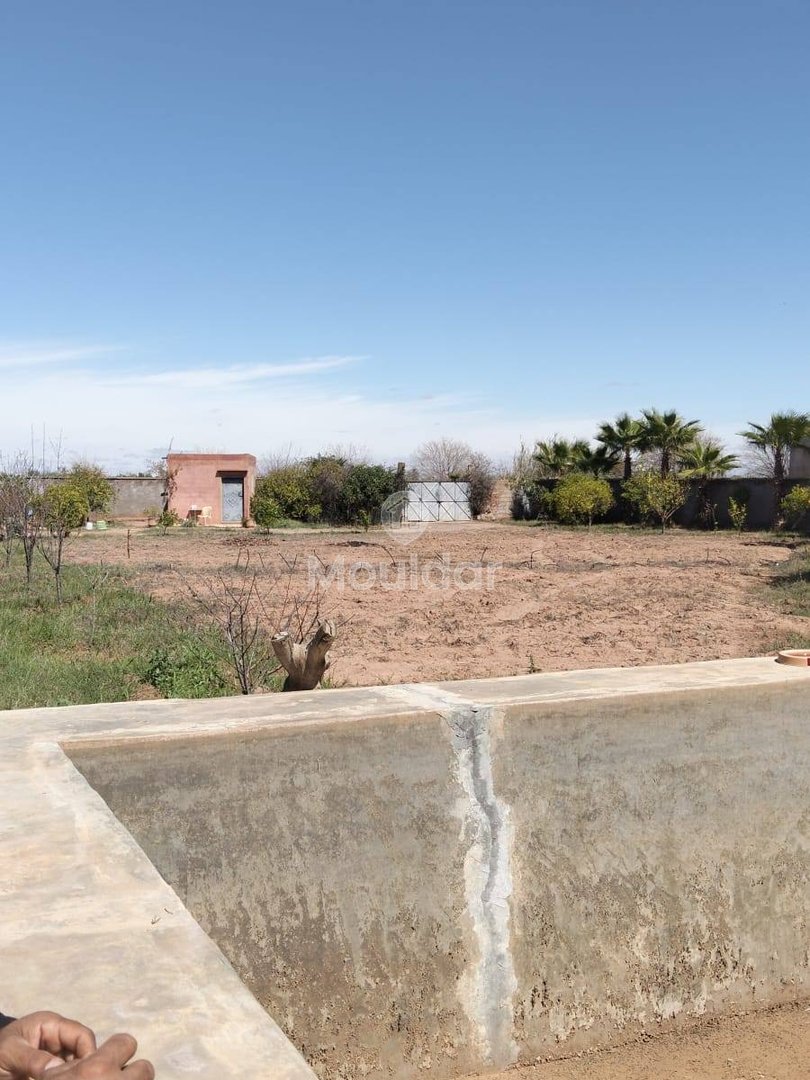 أرض زراعية للبيع في مراكش: 2530م² من الإمكانيات - Photo 3