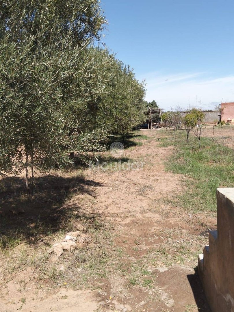 أرض زراعية للبيع في مراكش: 2530م² من الإمكانيات - Photo 1