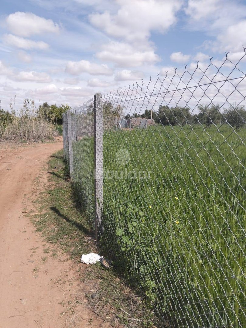 Terrain Exceptionnel à Vendre à Marrakech - 4205m² Agricole - Photo 5