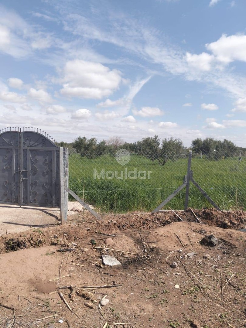 Terrain Exceptionnel à Vendre à Marrakech - 4205m² Agricole - Photo 1