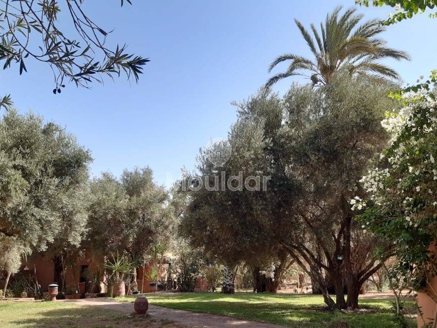 Vila de vis: Închiriați oază de lux în Marrakech - Photo 12