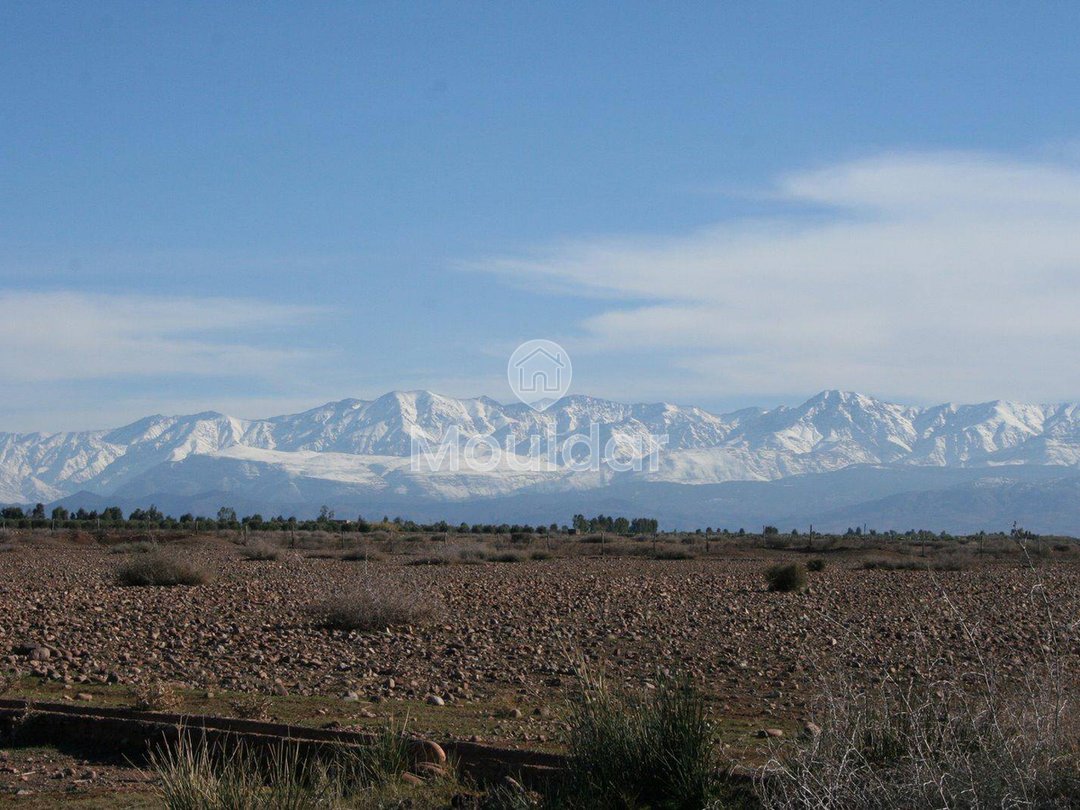 Villa de Charme à Vendre à Marrakech - 3 Chambres Spacieuses - Photo 10