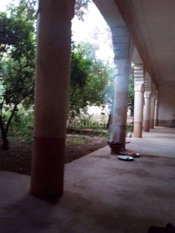 Riad na sprzedaż: Ucieczka rolnicza na 3000 m² w Marrakeszu - Photo 2