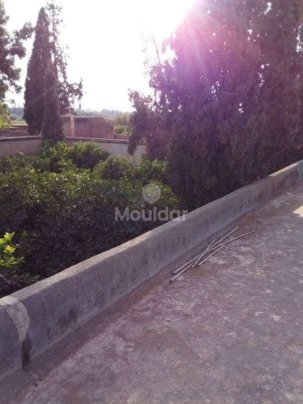 Riad na sprzedaż: Ucieczka rolnicza na 3000 m² w Marrakeszu - Photo 5