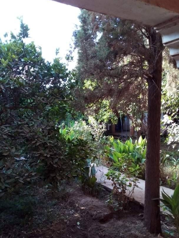 Riad na sprzedaż: Ucieczka rolnicza na 3000 m² w Marrakeszu - Photo 15