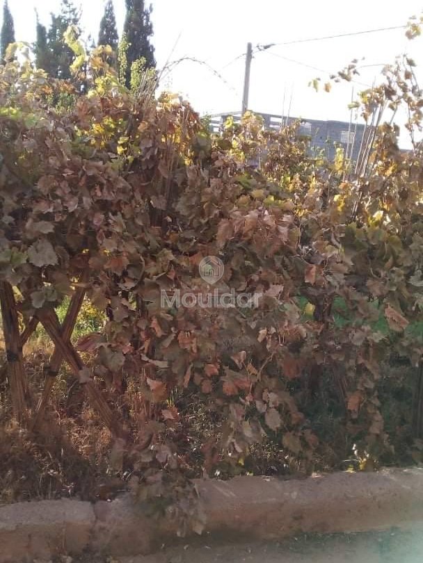 Riad na sprzedaż: Ucieczka rolnicza na 3000 m² w Marrakeszu - Photo 12