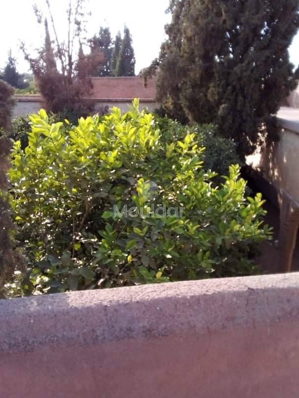 Riad na sprzedaż: Ucieczka rolnicza na 3000 m² w Marrakeszu - Photo 8