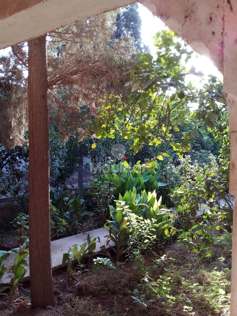 Riad na sprzedaż: Ucieczka rolnicza na 3000 m² w Marrakeszu - Photo 11