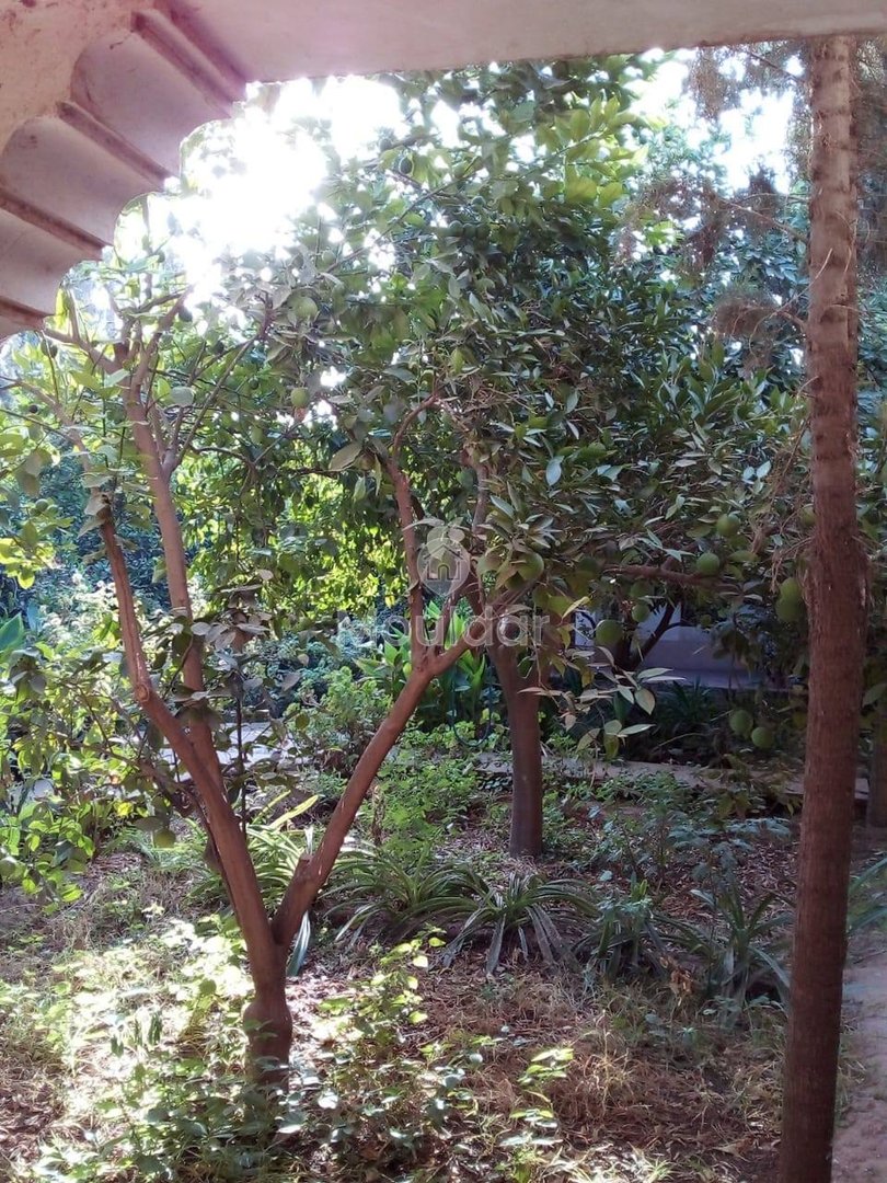 Riad na sprzedaż: Ucieczka rolnicza na 3000 m² w Marrakeszu - Photo 14