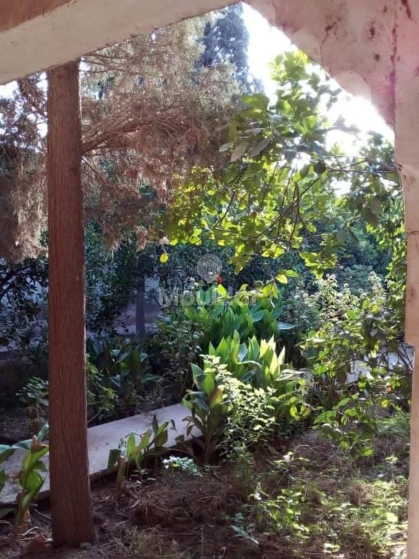 Riad na sprzedaż: Ucieczka rolnicza na 3000 m² w Marrakeszu - Photo 9