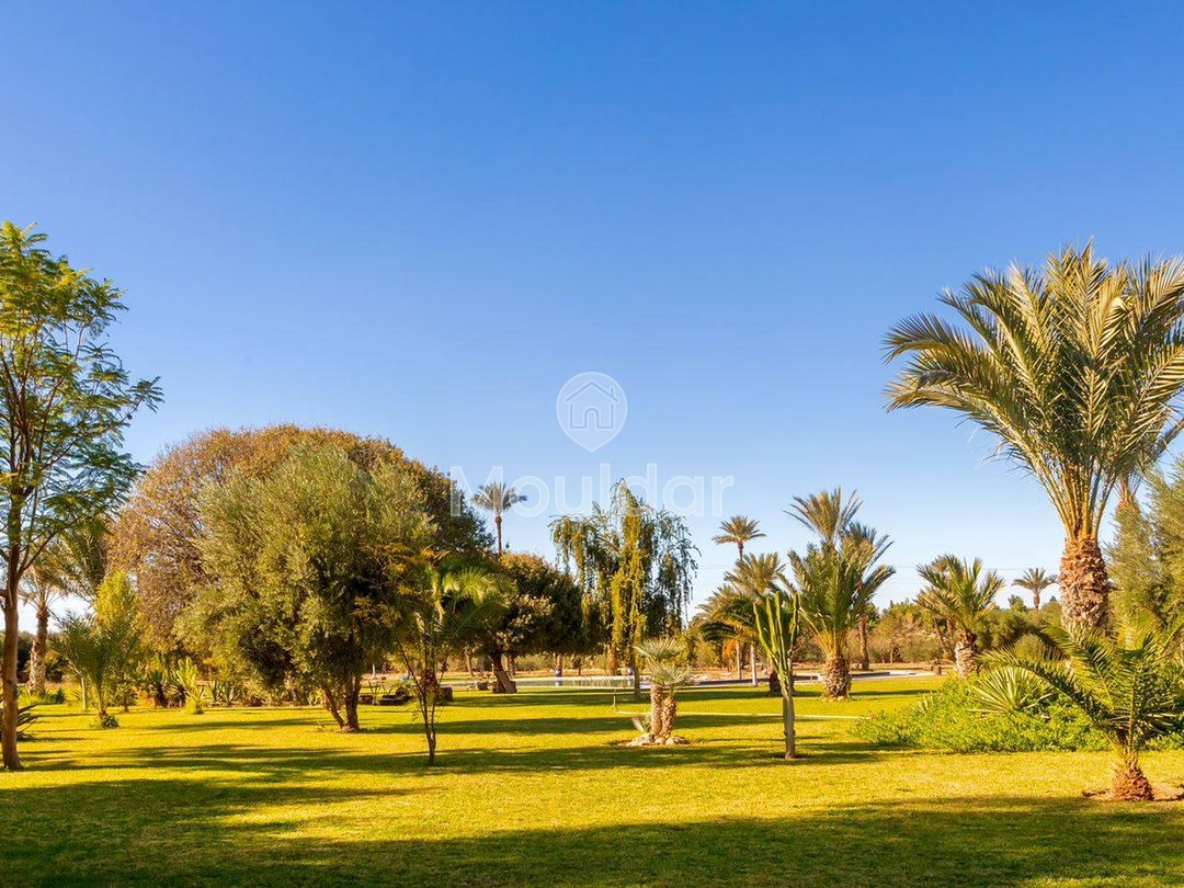 فيلا الأحلام في مراكش: هروب فاخر وراحة - Photo 16