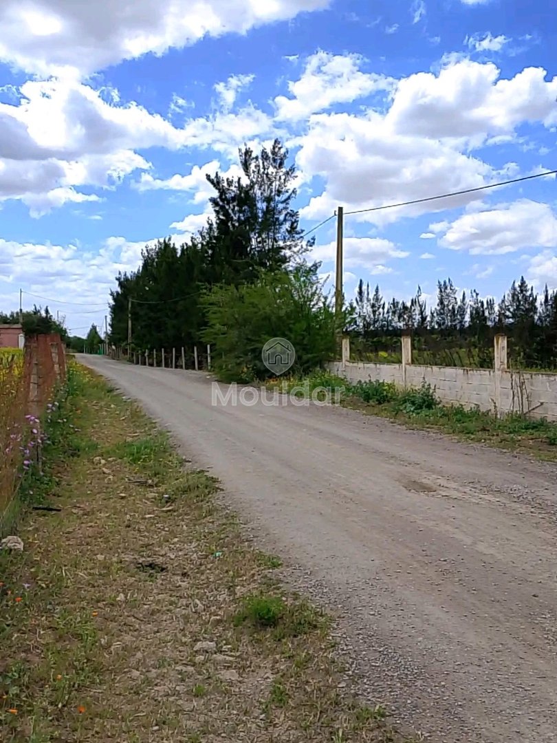 Agricultural Land for Sale in Benslimane - 7000m² to Seize - Photo 1