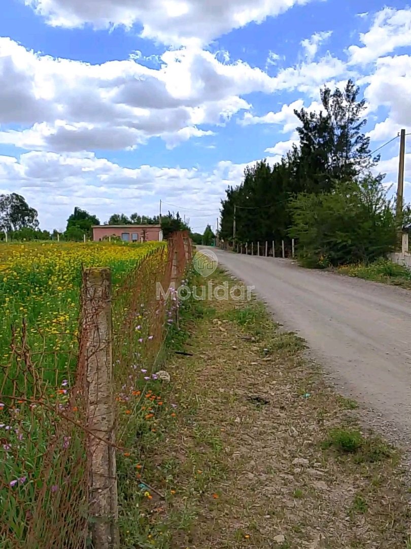 Agricultural Land for Sale in Benslimane - 7000m² to Seize - Photo 4