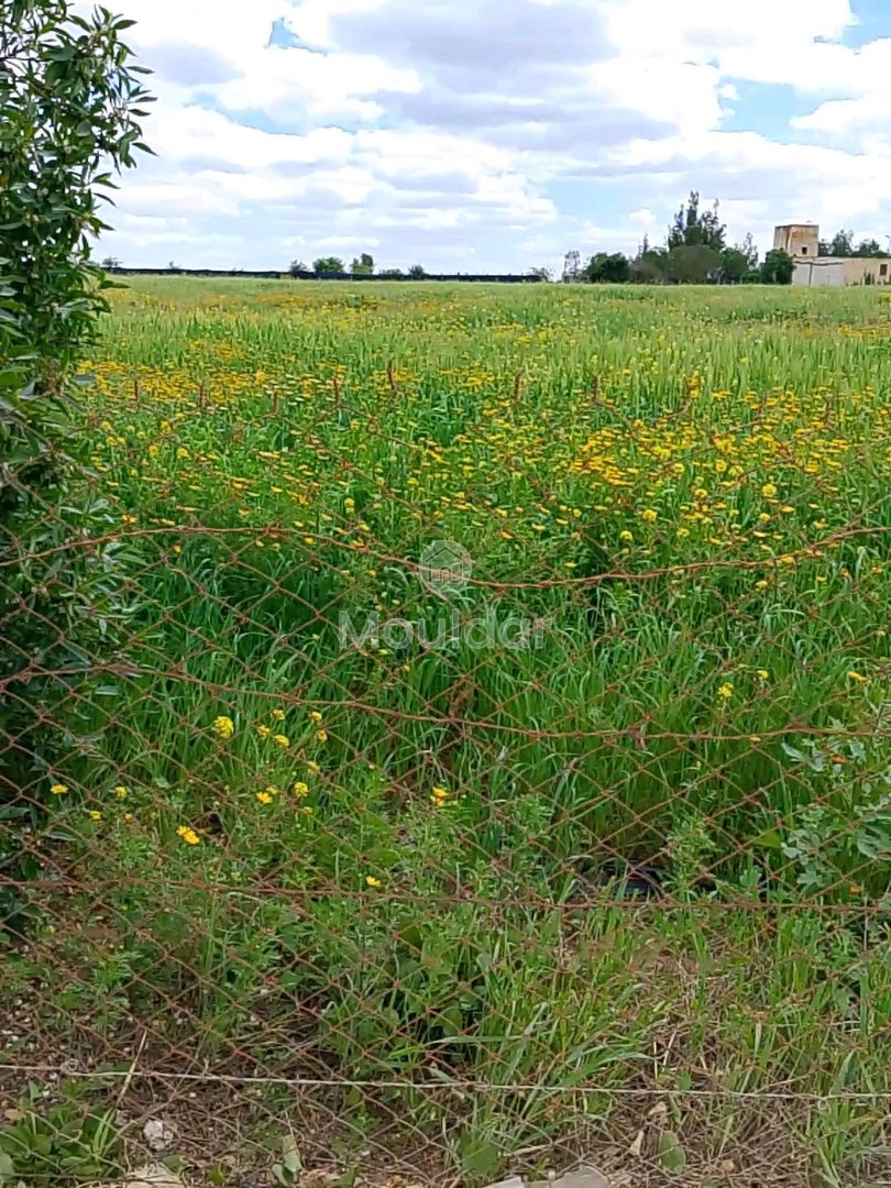 Agricultural Land for Sale in Benslimane - 7000m² to Seize - Photo 3