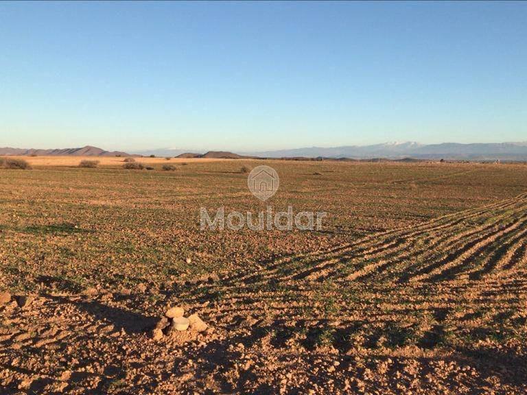 قطعة أرض استثنائية للبيع في مراكش - مثالية للفيلات - Photo 3