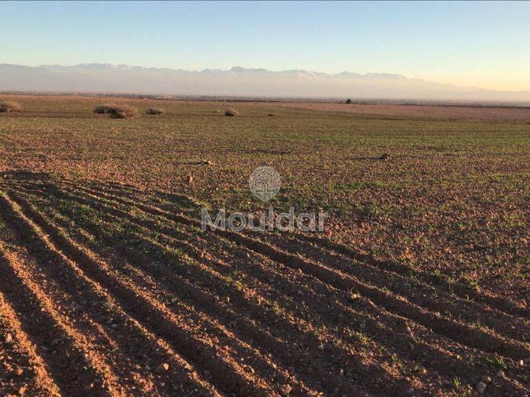 قطعة أرض استثنائية للبيع في مراكش - مثالية للفيلات - Photo 1