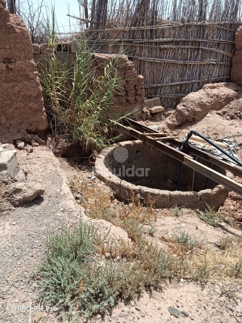 House for Sale in Marrakech – 5000m² in Agricultural Zone - Photo 17