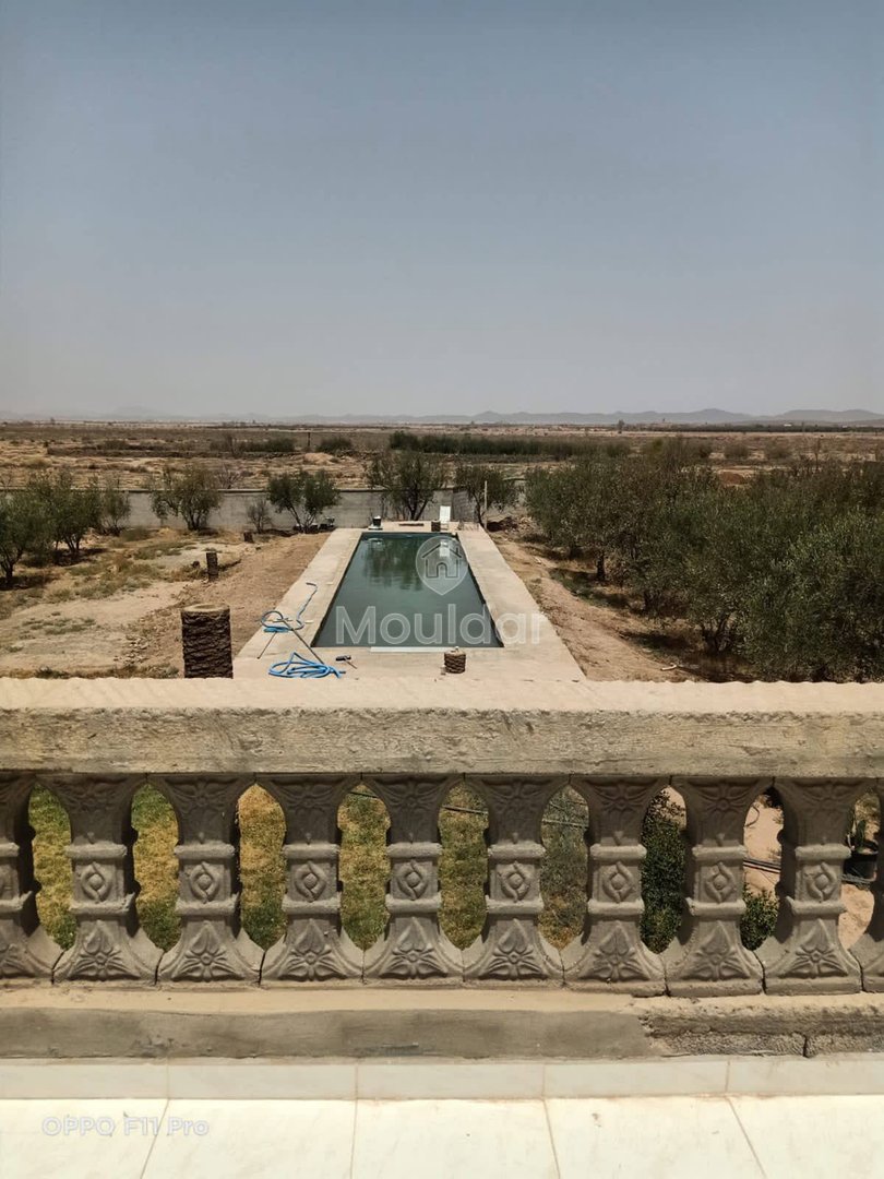 House for Sale in Marrakech – 5000m² in Agricultural Zone - Photo 12