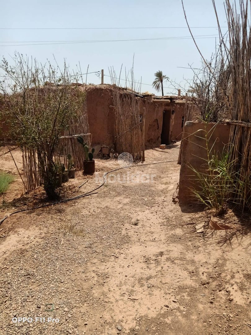 House for Sale in Marrakech – 5000m² in Agricultural Zone - Photo 19