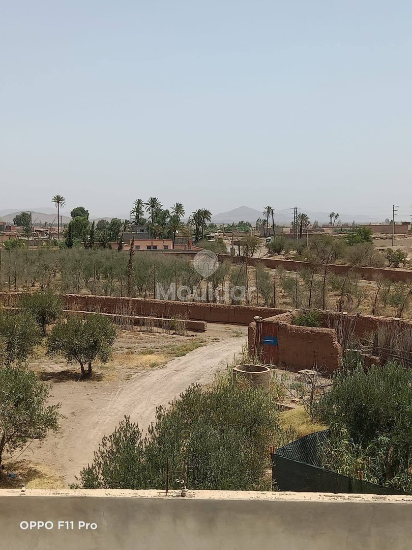 House for Sale in Marrakech – 5000m² in Agricultural Zone - Photo 1