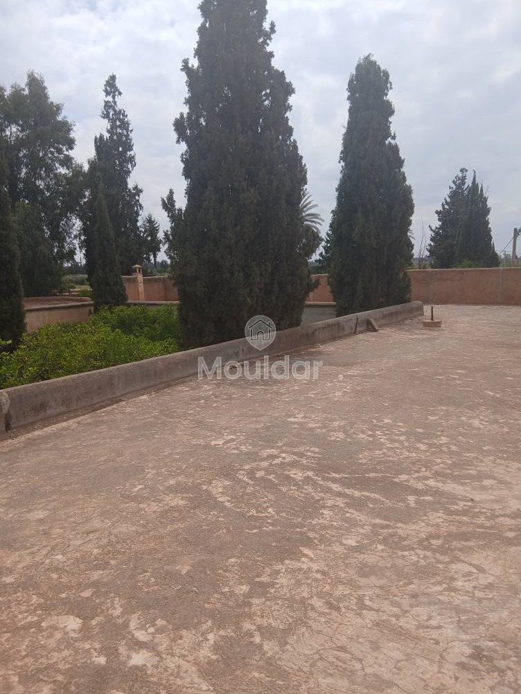 AVVISO PER INVESTIMENTI – 5 camera sorprendenti - Photo 3