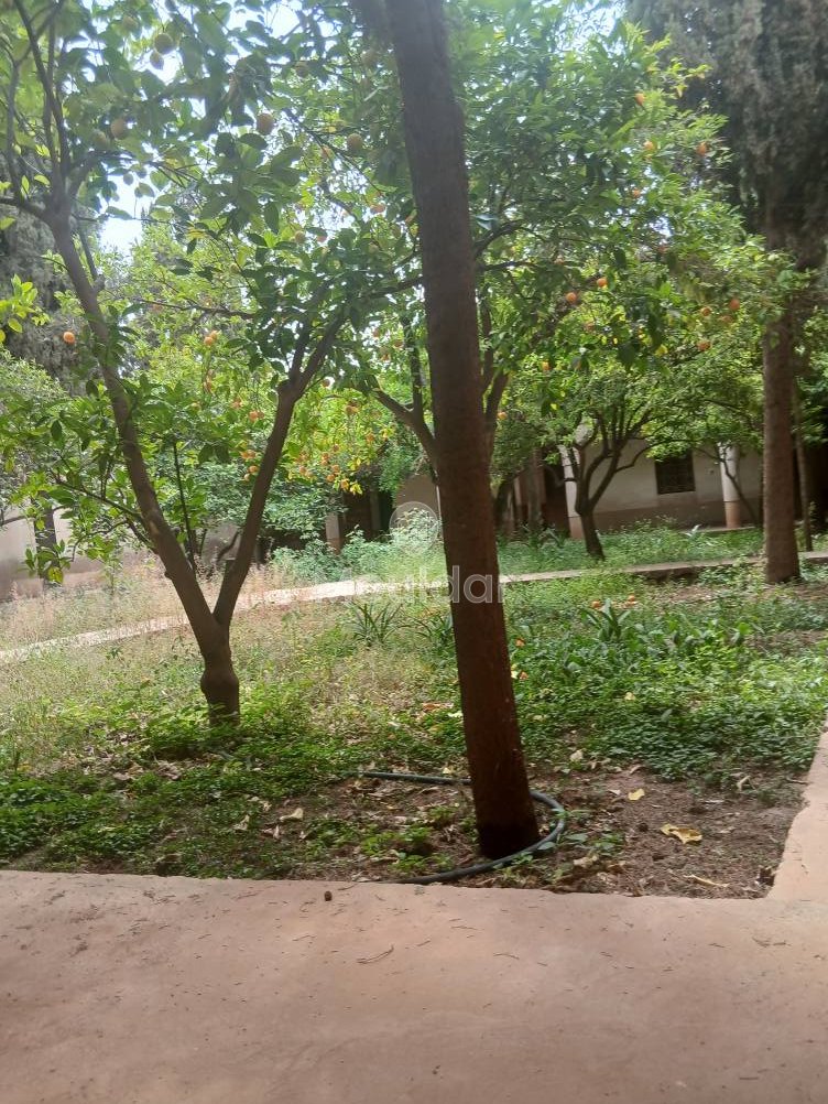 AVVISO PER INVESTIMENTI – 5 camera sorprendenti - Photo 7