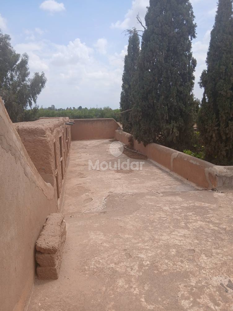 AVVISO PER INVESTIMENTI – 5 camera sorprendenti - Photo 2