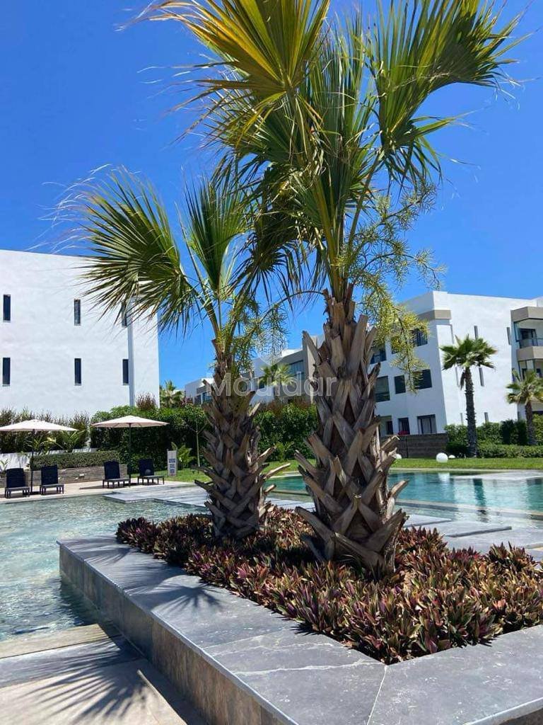 هروب إلى دار بوعزة: شقة عطلات مريحة وساحرة - Photo 6